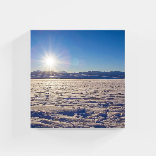 SNOW - Paysages